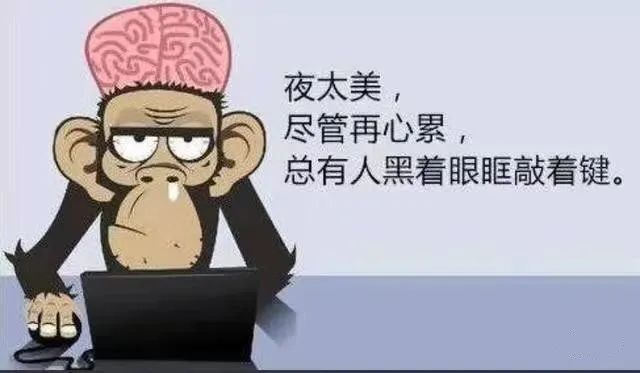 程序員假期怎么過，快來看看你屬于哪一種？